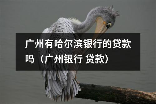 广州有哈尔滨银行的贷款吗（广州银行 贷款）