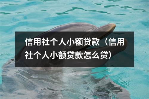 信用社个人小额贷款（信用社个人小额贷款怎么贷）