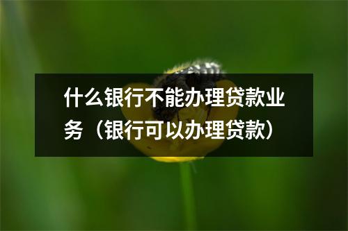 什么银行不能办理贷款业务（银行可以办理贷款）