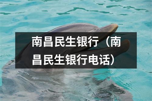 南昌民生银行(南昌民生银行电话)