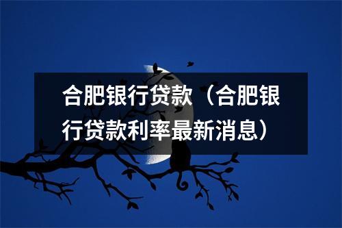 合肥银行贷款（合肥银行贷款利率最新消息）