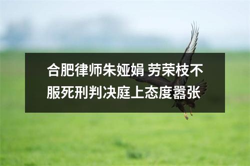 合肥律师朱娅娟 劳荣枝不服死刑判决庭上态度嚣张