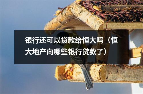 银行还可以贷款给恒大吗（恒大地产向哪些银行贷款了）