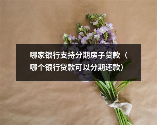 哪家银行支持分期房子贷款（哪个银行贷款可以分期还款）