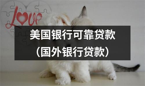 美国银行可靠贷款（国外银行贷款）