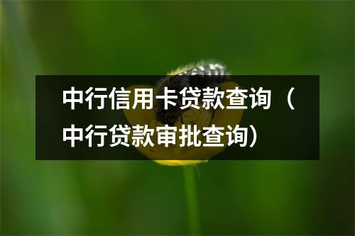 中行信用卡贷款查询（中行贷款审批查询）