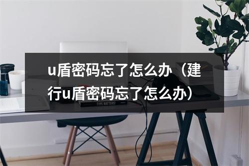 u盾密码忘了怎么办（建行u盾密码忘了怎么办）