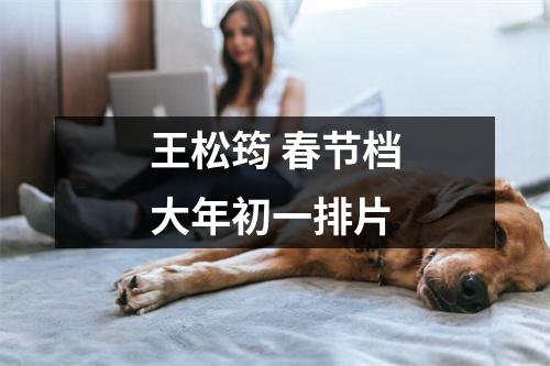 王松筠 春节档大年初一排片