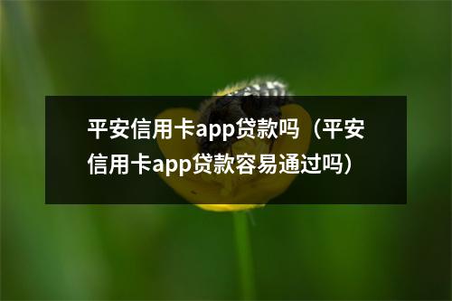 平安信用卡app贷款吗（平安信用卡app贷款容易通过吗）