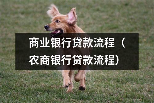 商业银行贷款流程(农商银行贷款流程)
