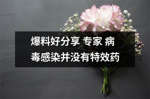 爆料好分享 专家 病毒感染并没有特效药