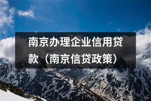 南京办理企业信用贷款（南京信贷政策）