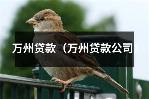 万州贷款（万州贷款公司）