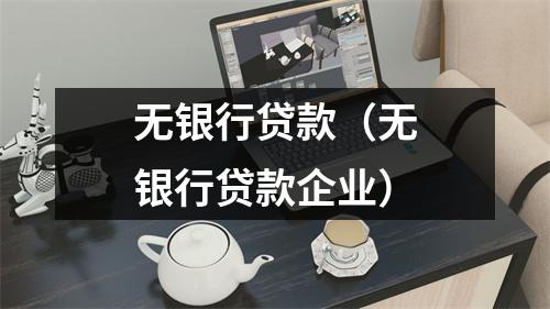 无银行贷款（无银行贷款企业）