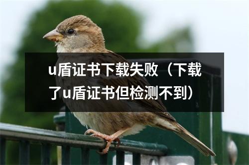 u盾证书下载失败（下载了u盾证书但检测不到）