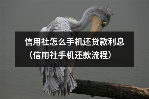 信用社怎么手机还贷款利息（信用社手机还款流程）