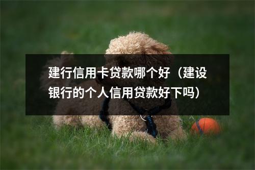 建行信用卡贷款哪个好（建设银行的个人信用贷款好下吗）