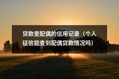 贷款查配偶的信用记录（个人征信能查到配偶贷款情况吗）
