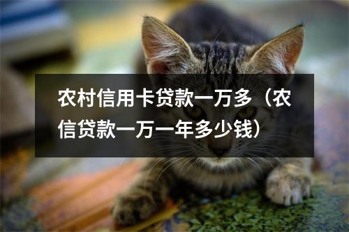 农村信用卡贷款一万多(农信贷款一万一年多少钱)