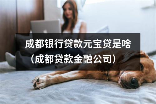成都银行贷款元宝贷是啥（成都贷款金融公司）