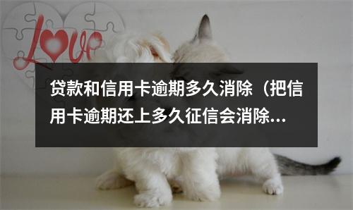 贷款和信用卡逾期多久消除（把信用卡逾期还上多久征信会消除）