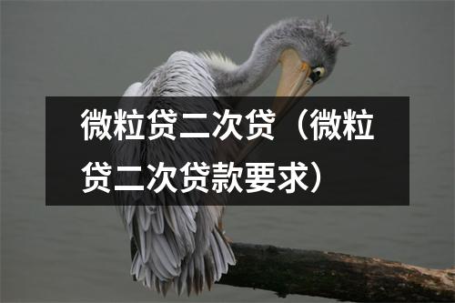 微粒贷二次贷（微粒贷二次贷款要求）