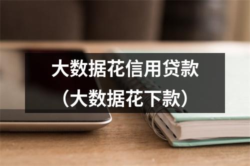 大数据花信用贷款（大数据花下款）