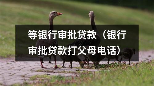 等银行审批贷款（银行审批贷款打父母电话）