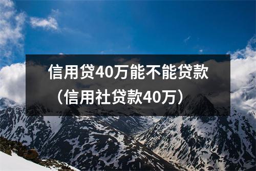 信用贷40万能不能贷款（信用社贷款40万）