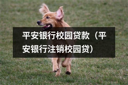 平安银行校园贷款（平安银行注销校园贷）