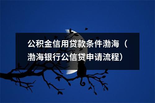公积金信用贷款条件渤海（渤海银行公信贷申请流程）