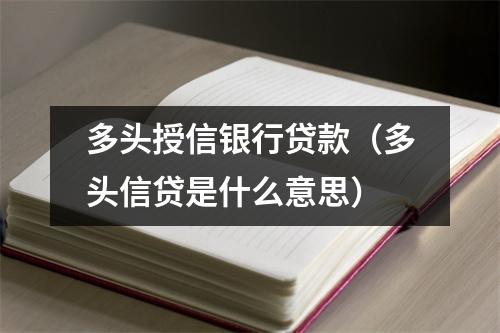 多头授信银行贷款（多头信贷是什么意思）