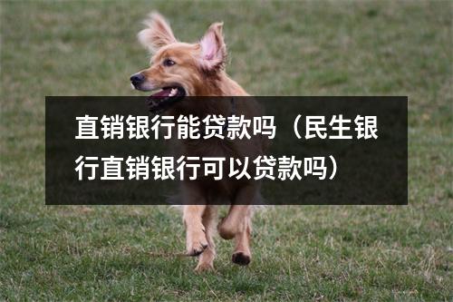 直销银行能贷款吗（民生银行直销银行可以贷款吗）