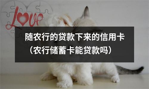 随农行的贷款下来的信用卡（农行储蓄卡能贷款吗）