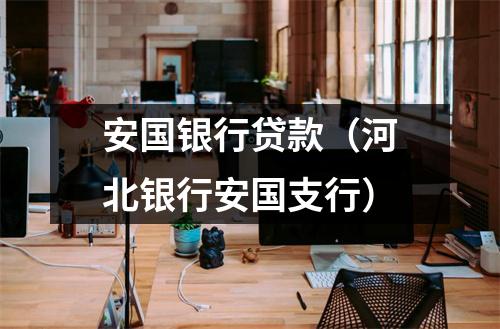 安国银行贷款（河北银行安国支行）