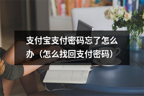 支付宝支付密码忘了怎么办（怎么找回支付密码）