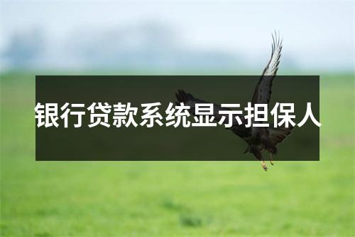 银行贷款系统显示担保人