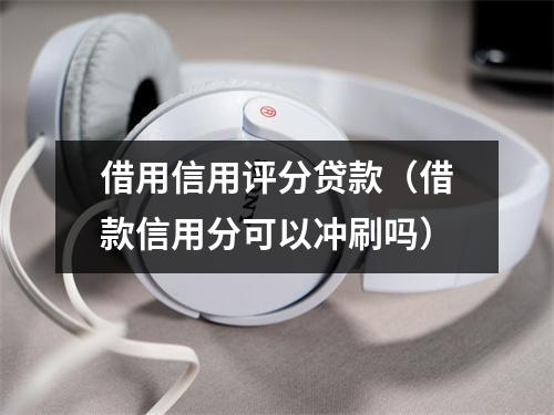 借用信用评分贷款（借款信用分可以冲刷吗）