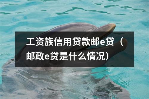 工资族信用贷款邮e贷（邮政e贷是什么情况）