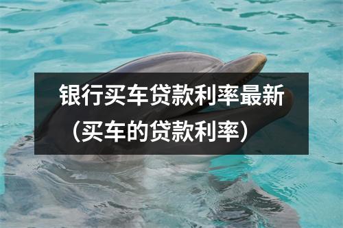 银行买车贷款利率最新（买车的贷款利率）