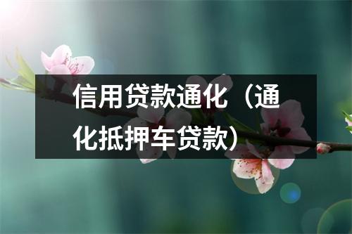 信用贷款通化（通化抵押车贷款）