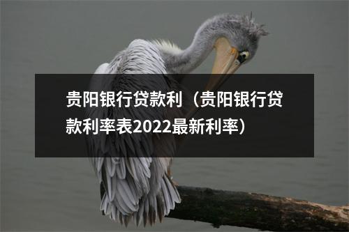 贵阳银行贷款利（贵阳银行贷款利率表2022最新利率）