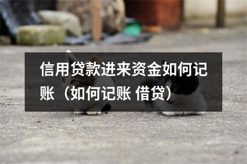 信用贷款进来资金如何记账（如何记账 借贷）