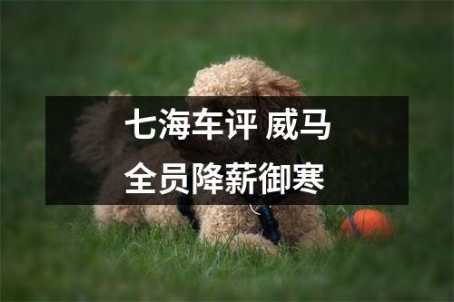 七海车评 威马全员降薪御寒