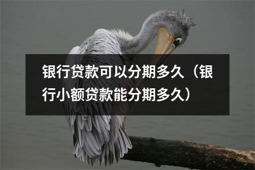 银行贷款可以分期多久（银行小额贷款能分期多久）