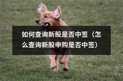 如何查询新股是否中签（怎么查询新股申购是否中签）