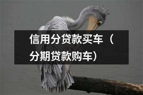 信用分贷款买车（分期贷款购车）