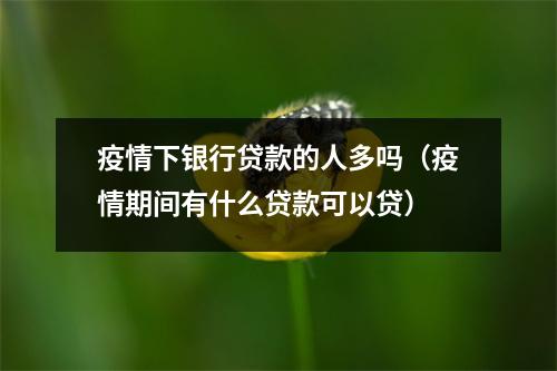 疫情下银行贷款的人多吗（疫情期间有什么贷款可以贷）