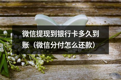 微信提现到银行卡多久到账（微信分付怎么还款）