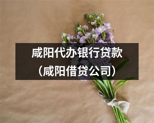 咸阳代办银行贷款（咸阳借贷公司）